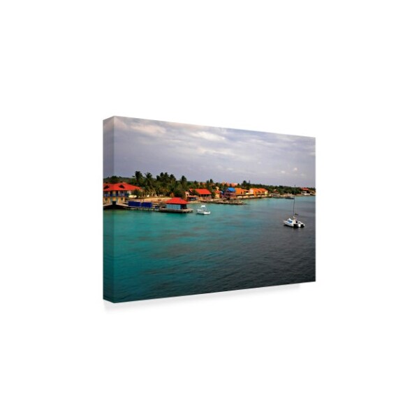 J.D. Mcfarlan 'Bonaire 4' Canvas Art,12x19